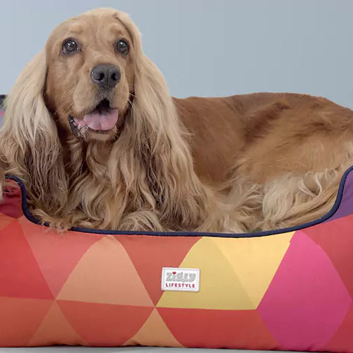 Diverse dog beds, find the ideal cozy space.