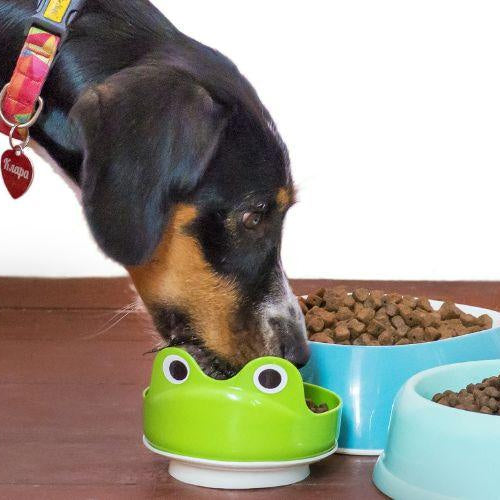 Top 6 Tips On Choosing The Right Dog Food - Petsy
