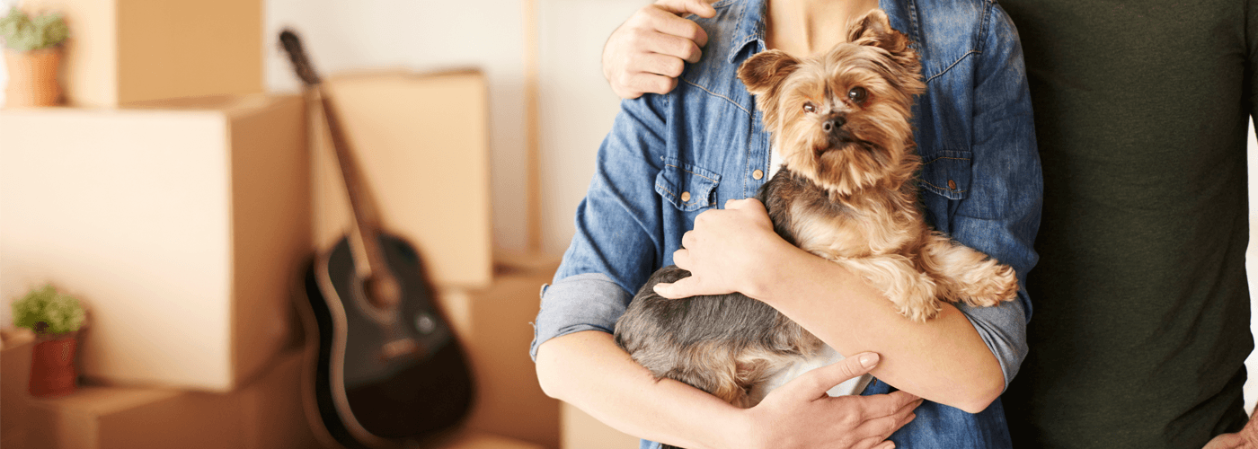 Top 10 gifts for pet parents! - Petsy