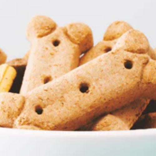 Quick and easy peanut butter dog treats - Petsy