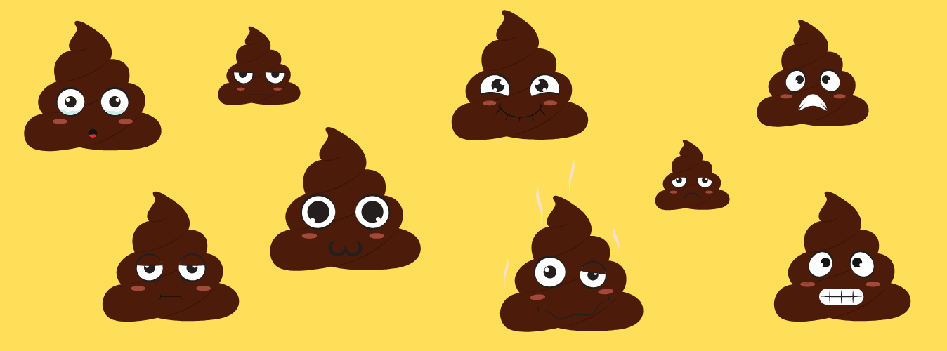 Is Your Dog’s Poop Healthy? - Petsy