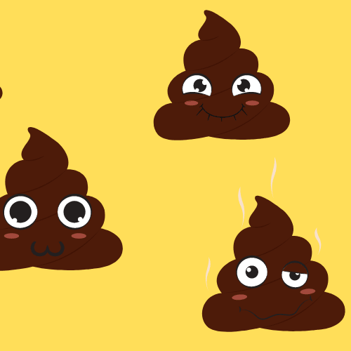 Is Your Dog’s Poop Healthy? - Petsy