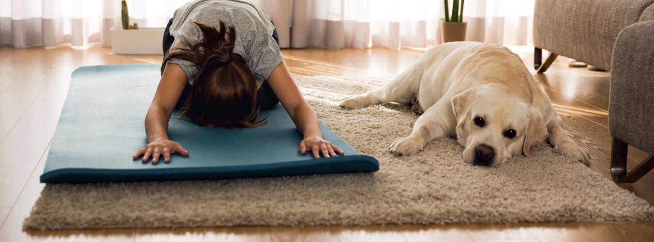 6 Tips to Keep Your Dog Active at Home - Petsy