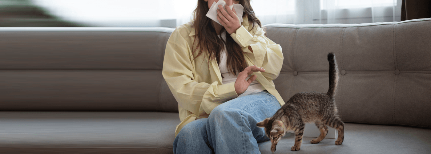 Pet Allergies - what is it and how to manage it? - Petsy