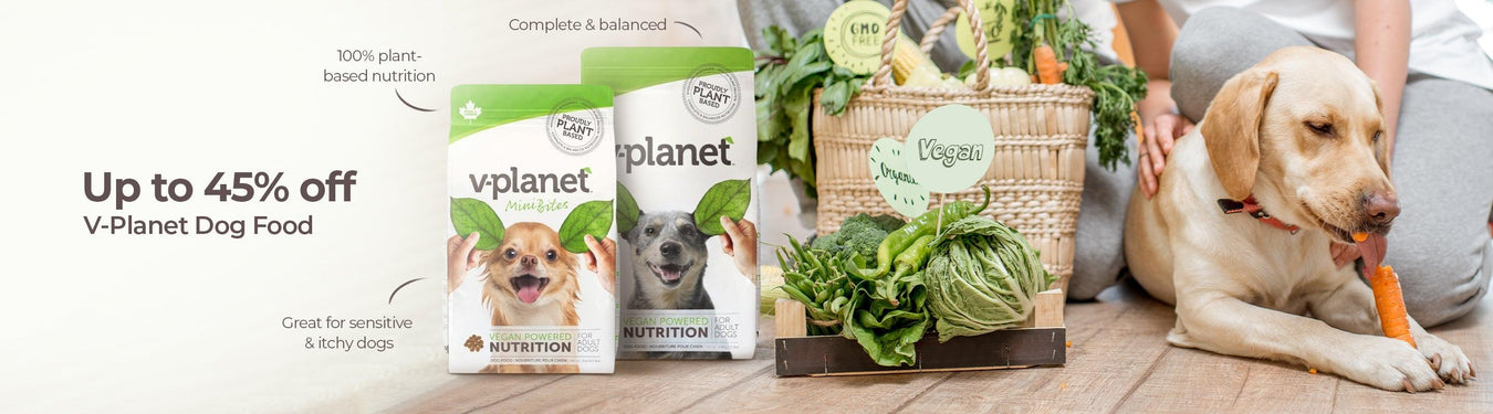 V-Planet Vegan Dog Food - Petsy