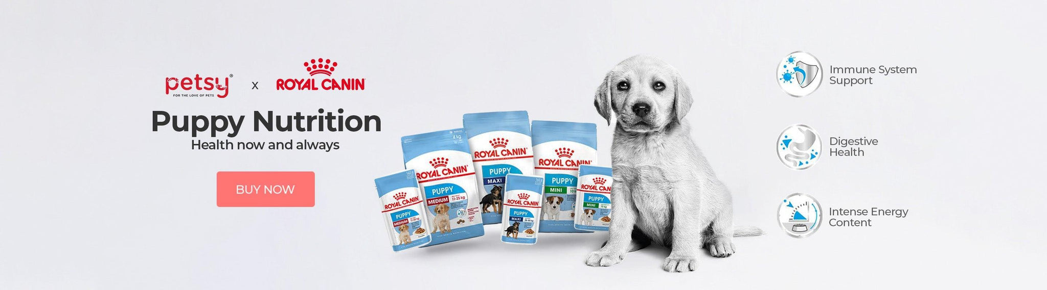 Royal Canin Puppy Dog Food - Petsy
