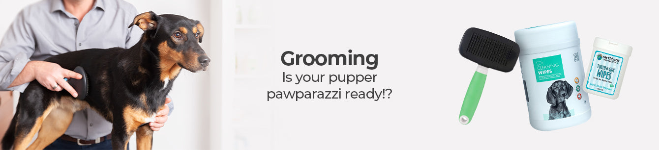 Dog Grooming Tools - Petsy