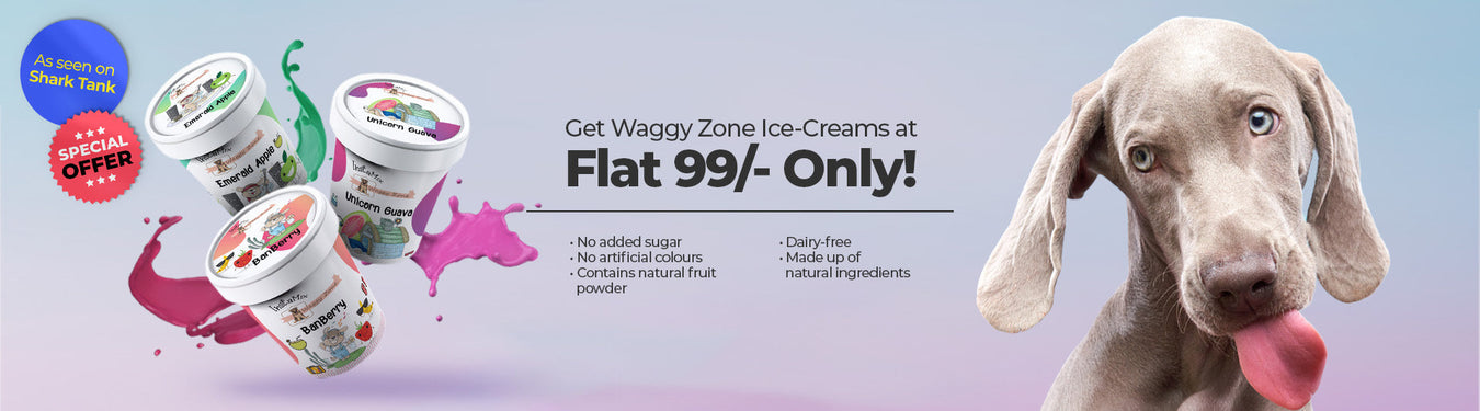Waggy Zone - Petsy