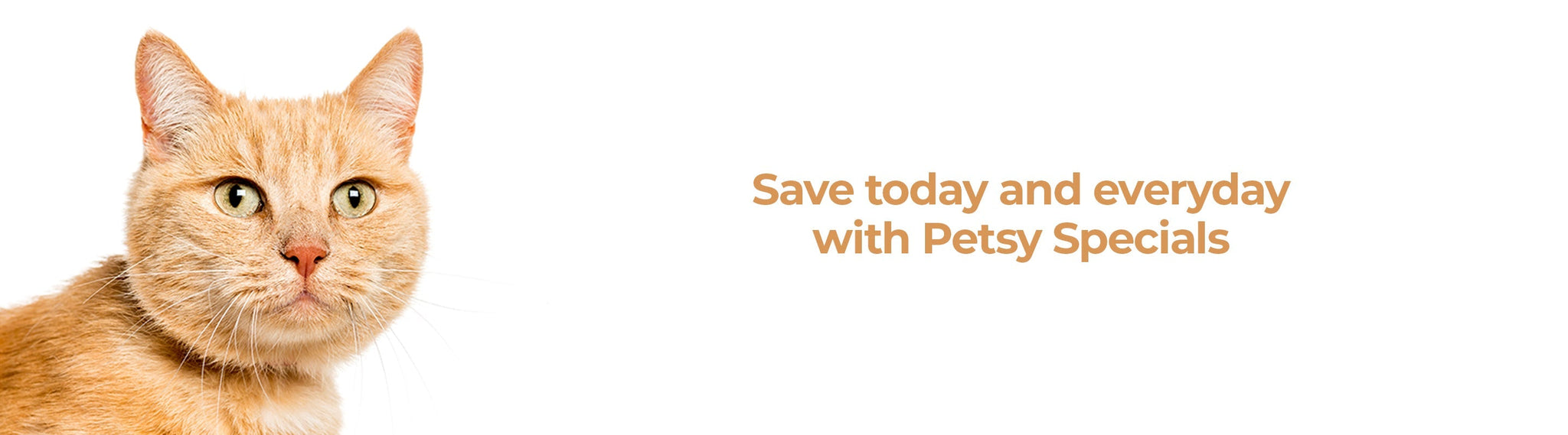 Cat Deals - Petsy