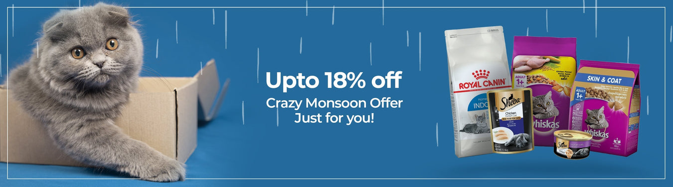 Crazy Monsoon Offers - Petsy