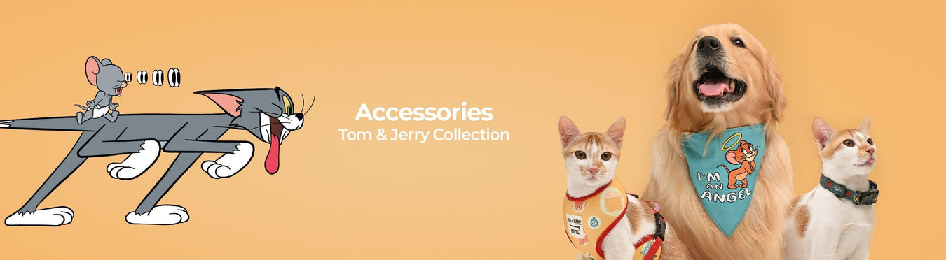 Tom and Jerry Accessories - Petsy