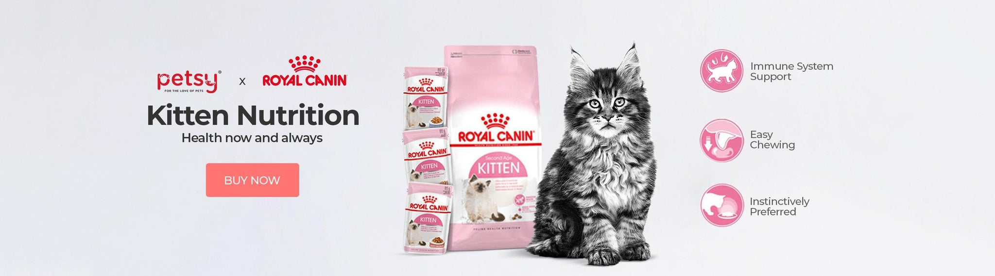 Royal Canin Kitten - Petsy