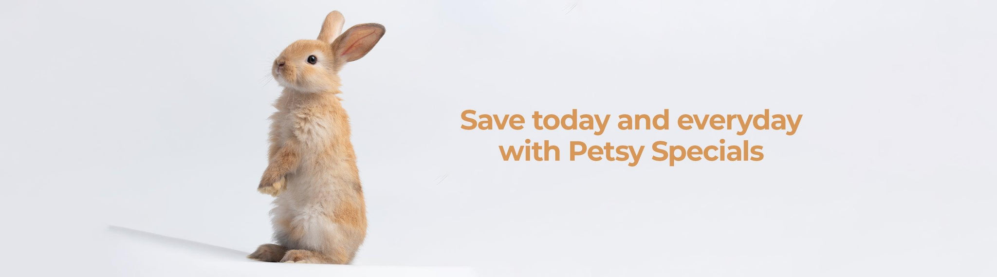 Small Pet Deals - Petsy