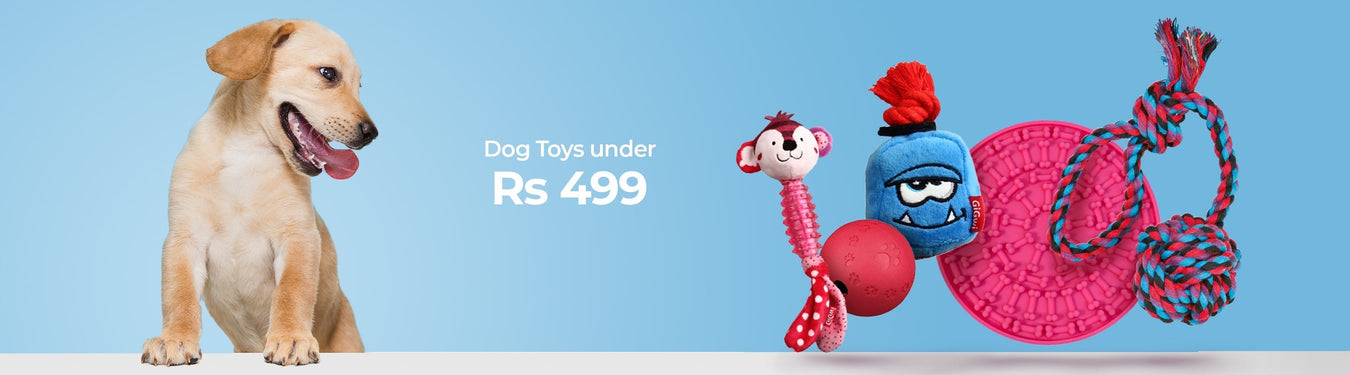 Dog Toys Under Rs 499 - Petsy