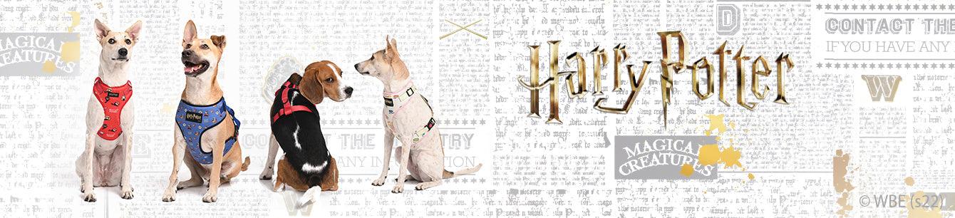 Harry Potter Harness - Petsy