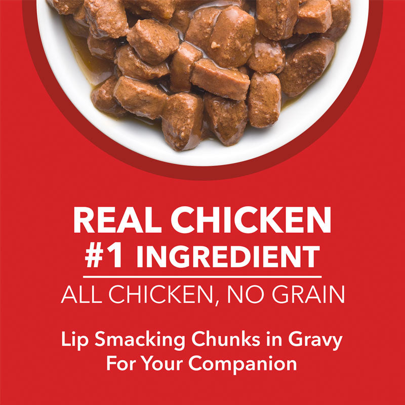 Drools Wet Food for Puppies - Real Chicken and Chicken Liver Chunks in Gravy