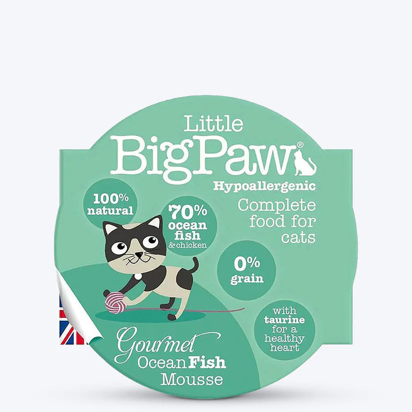 Little BigPaw Wet Cat Food - Gourmet Ocean Fish Mousse - Pack of 8 (8 x 85 gms)
