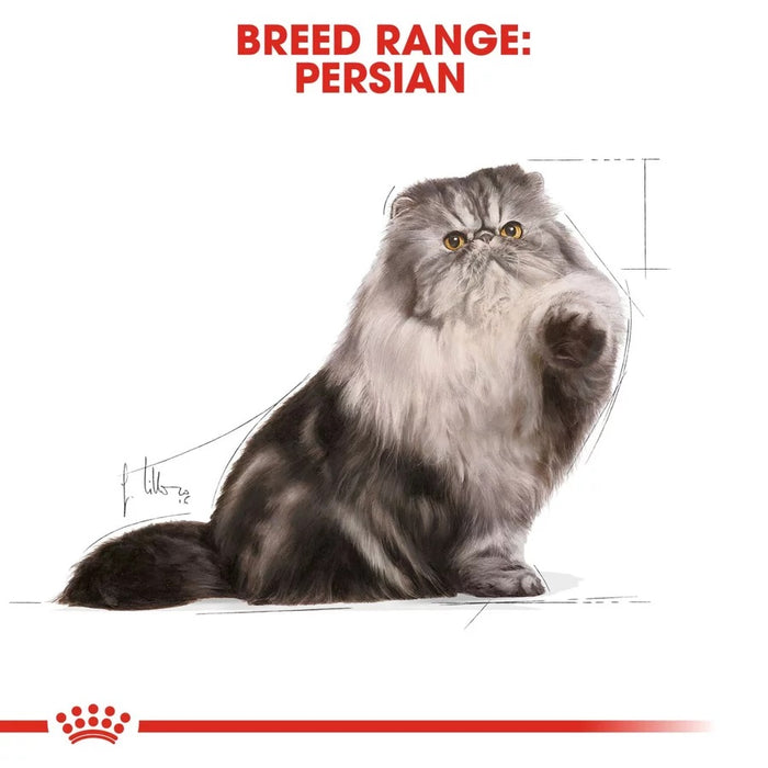 Royal Canin Persian Adult Wet Cat Food (85g x 12 Loaf Pouches)