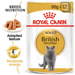 Royal Canin British Shorthair Adult Wet Cat Food (85g x 12 Gravy Pouches)