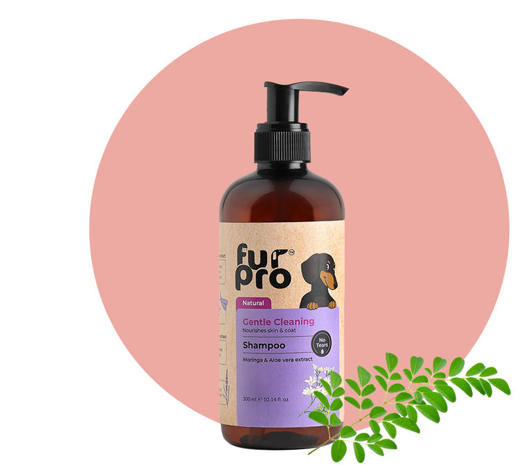 Furpro Gentle Cleaning Shampoo - Freshness and Health