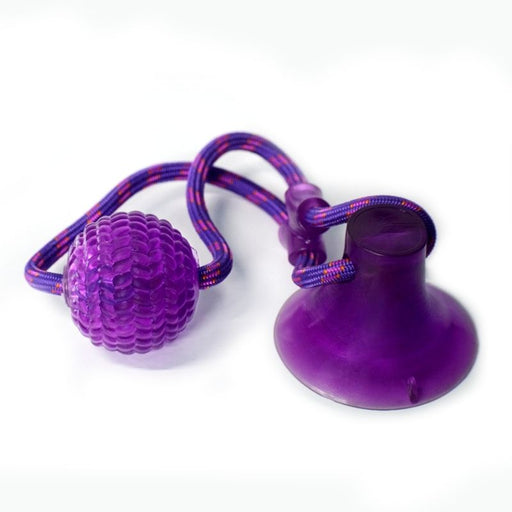 Basil Dog Toys - Vacuum Cup with Rope and Ball