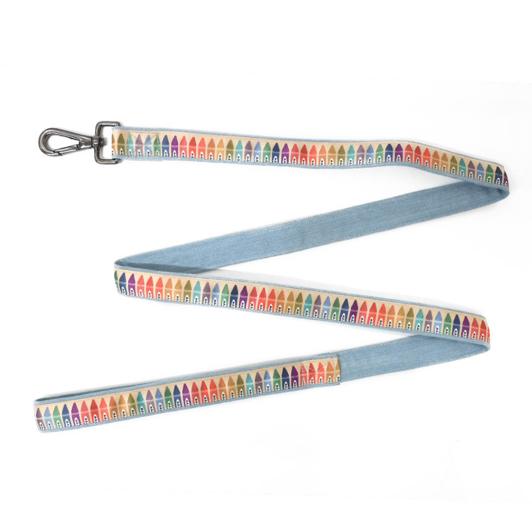 Mutt Of Course Leash For Dogs - Woofy Colours
