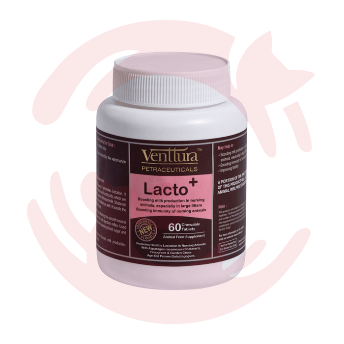 Venttura Supplements for Cats & Dogs - LactoPlus (60 Tabs)