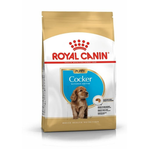 Royal Canin Breed Health Nutrition Cocker Spaniel Puppy Dry Dog Food