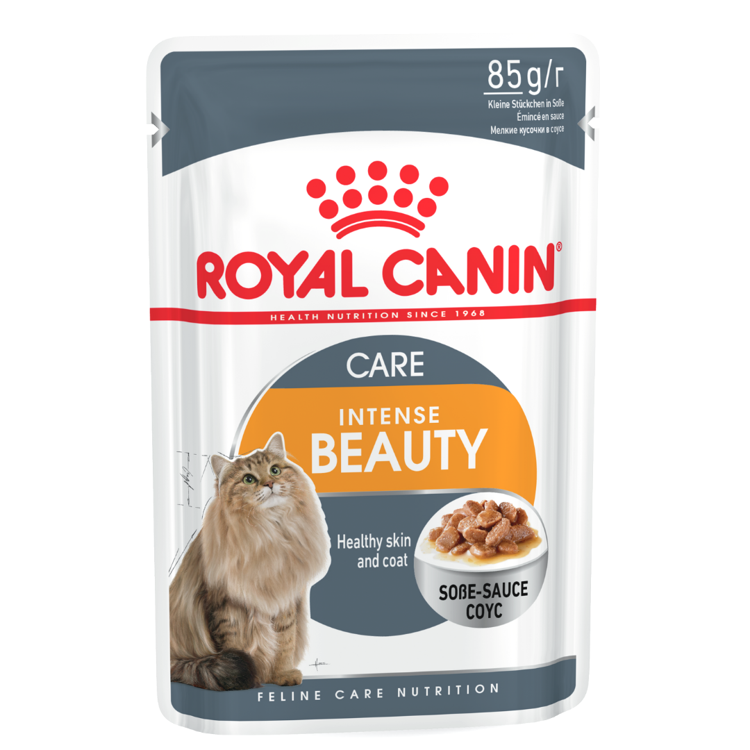 Royal Canin Intense Beauty Adult Gravy Wet Cat Food (85g x 12 Pouches)