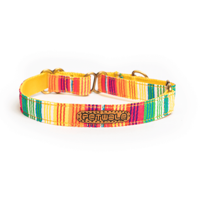PetWale Martingale Collar - Colourful Stripes
