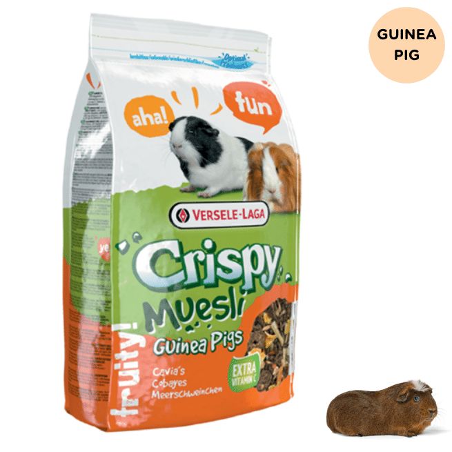 Versele Laga Crispy Muesli for Guinea Pigs
