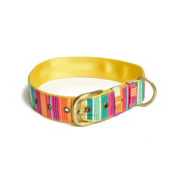 PetWale Belt Collar - Colourful Stripes