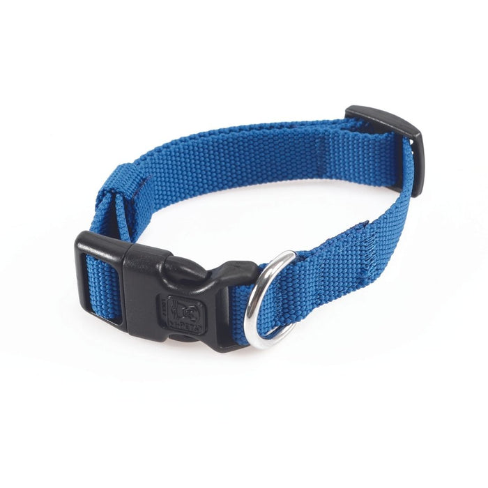 M-Pets Dog Collars - Eco Range Jolly (blue)