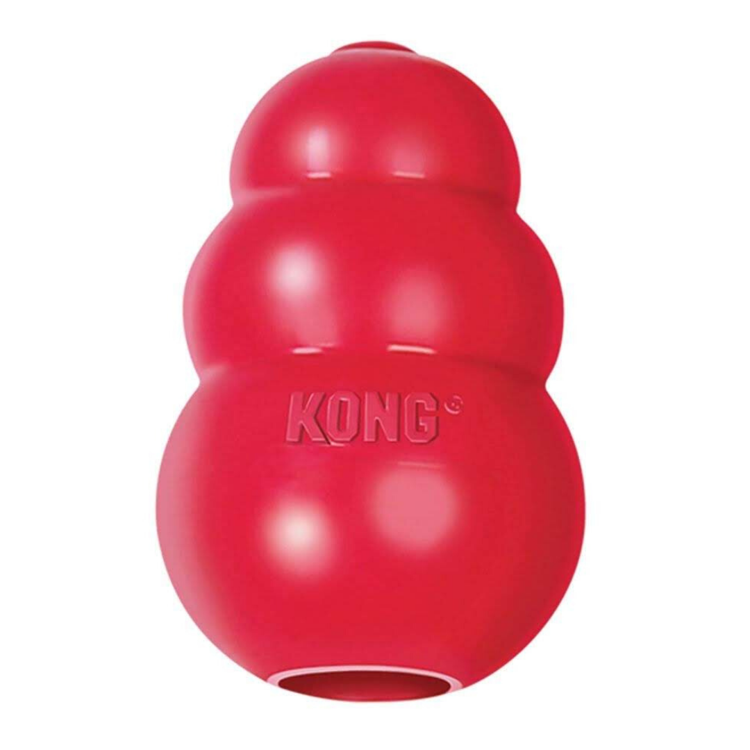 KONG (XS) For Small Animals