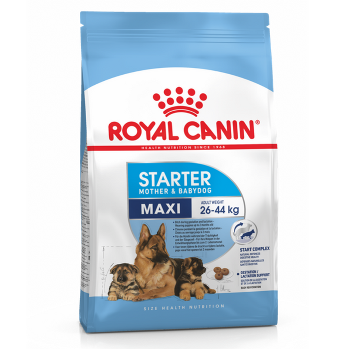 Royal Canin Maxi Starter Mother & Babydog Dry Dog Food
