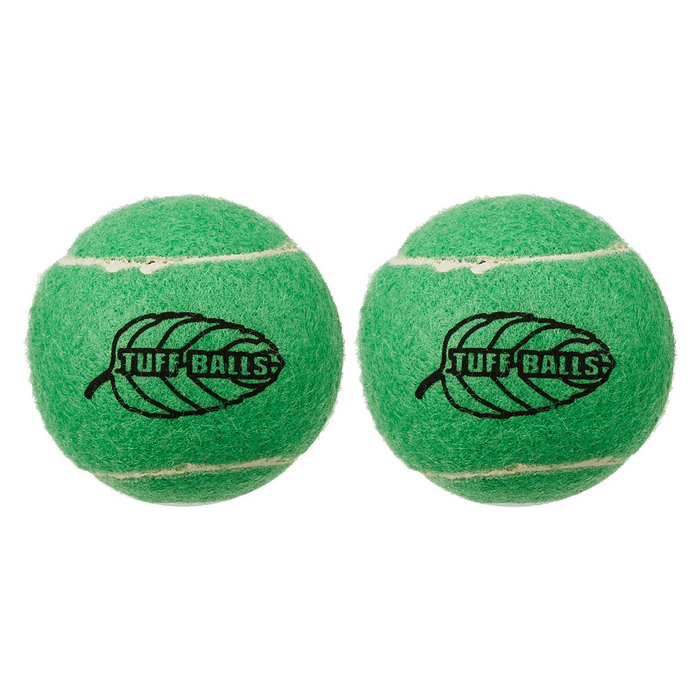 Petsport Tuff Balls Mint (2pk)