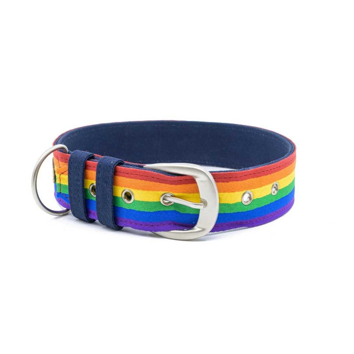 PetWale Belt Collar - Pride