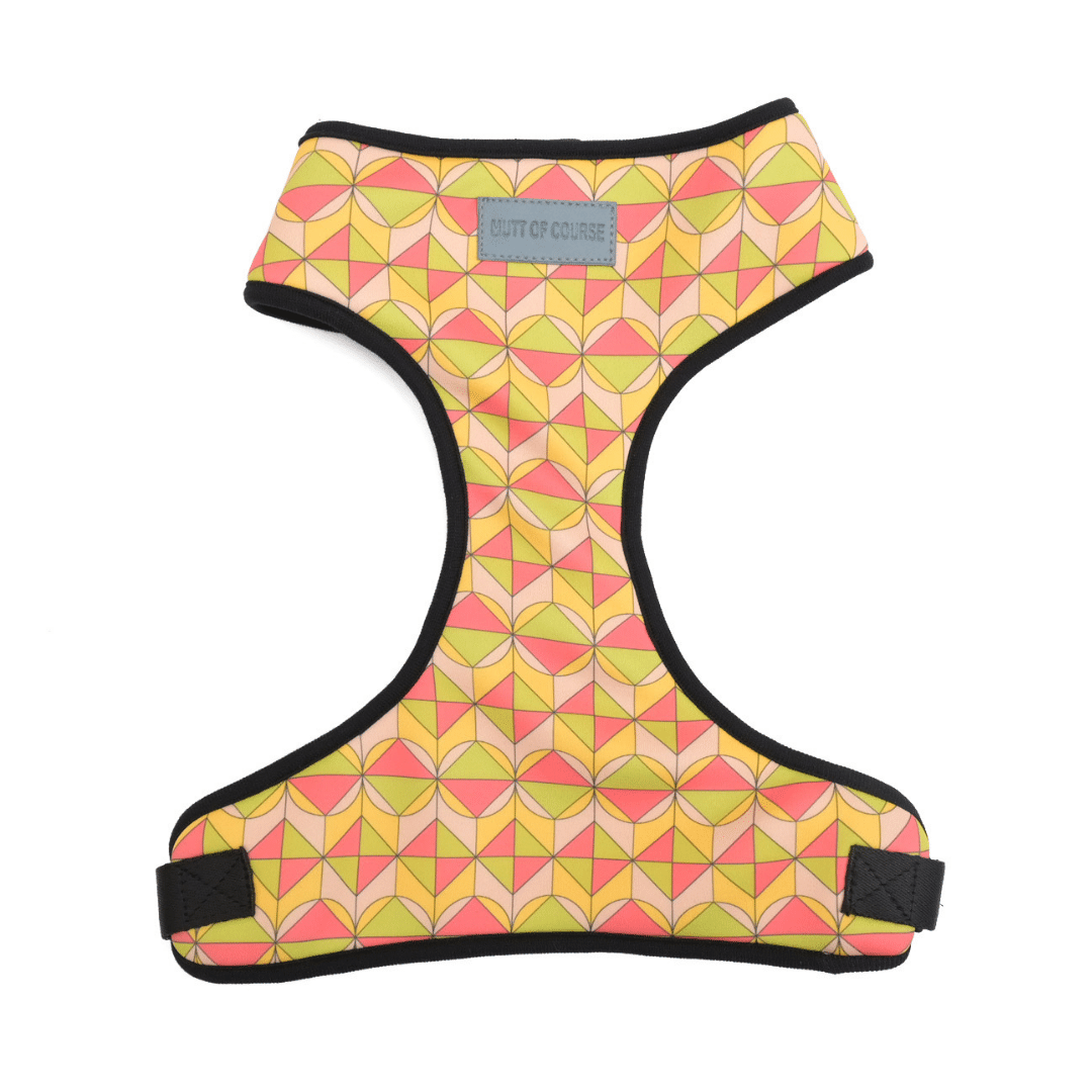 Mutt Of Course Chest Harness for Dogs - Coral Reef
