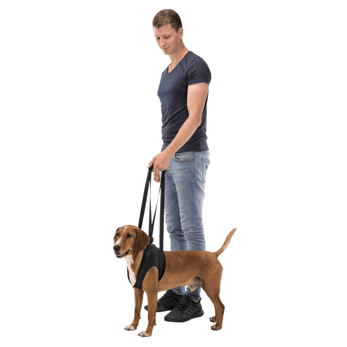Trixie Health Care Aid - Walking Aid For Dogs