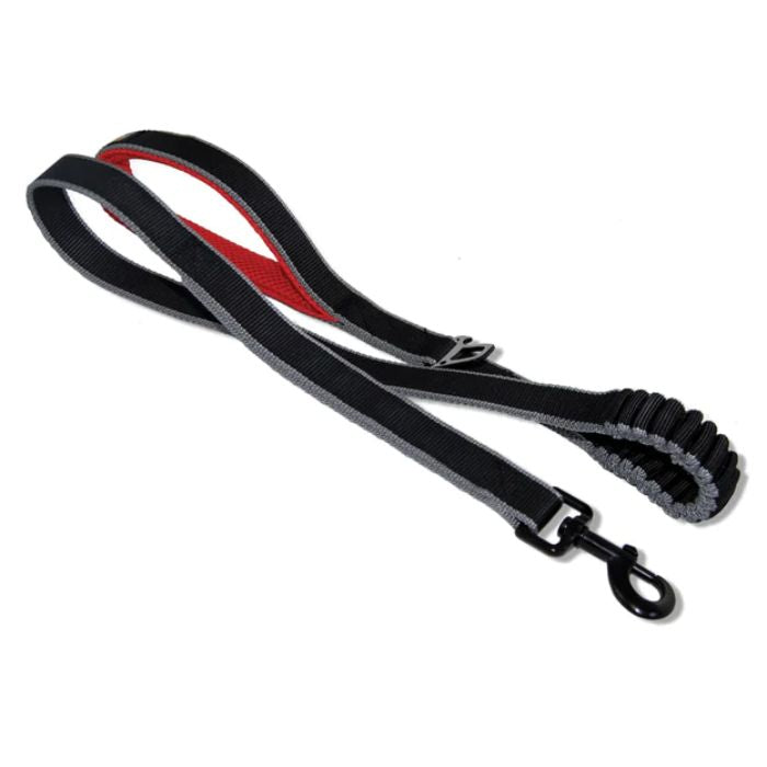 Kurgo Springback Dog Leash - Black & Red