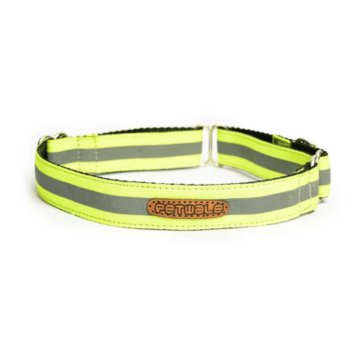 PetWale Martingale Collar - Reflective Green