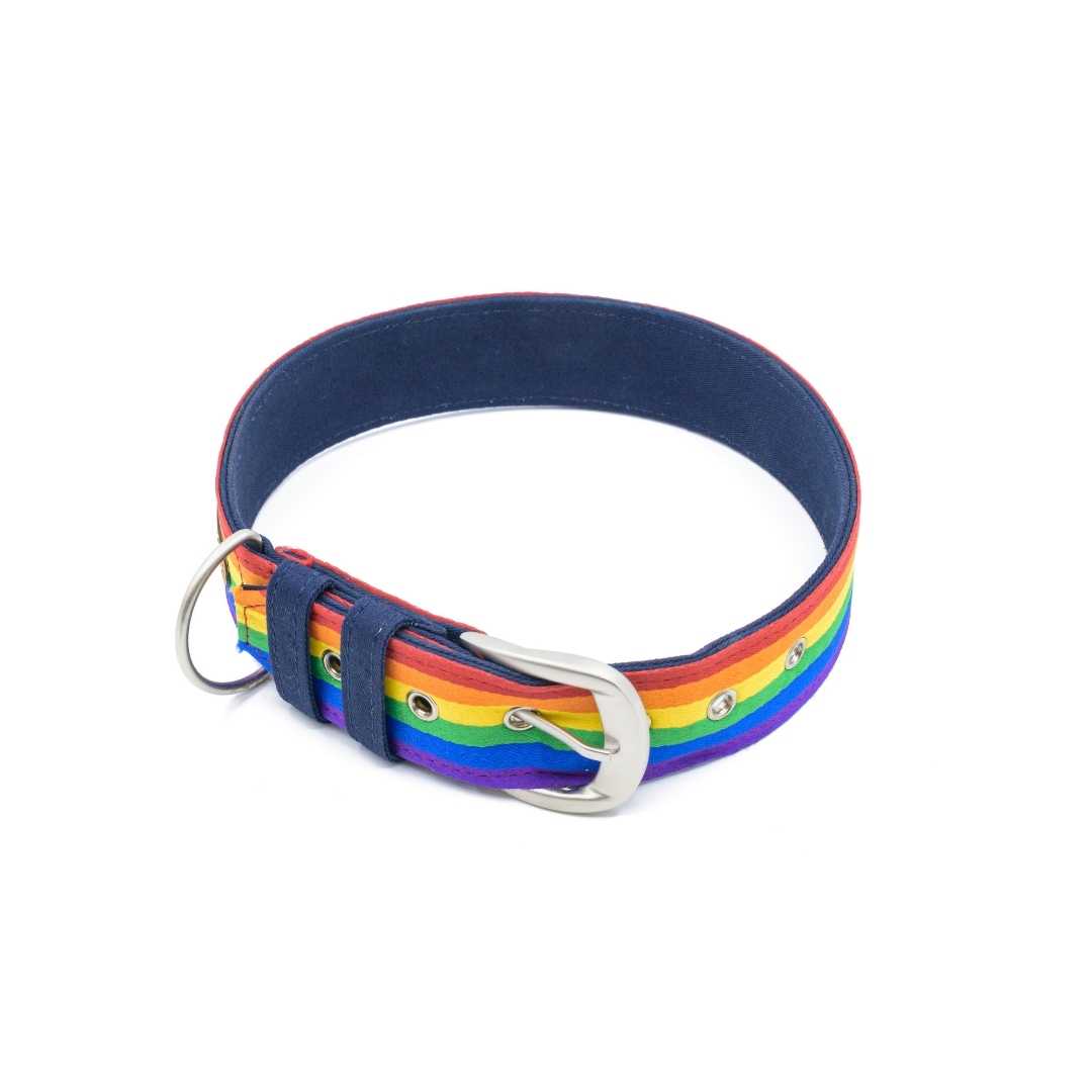 PetWale Belt Collar - Pride