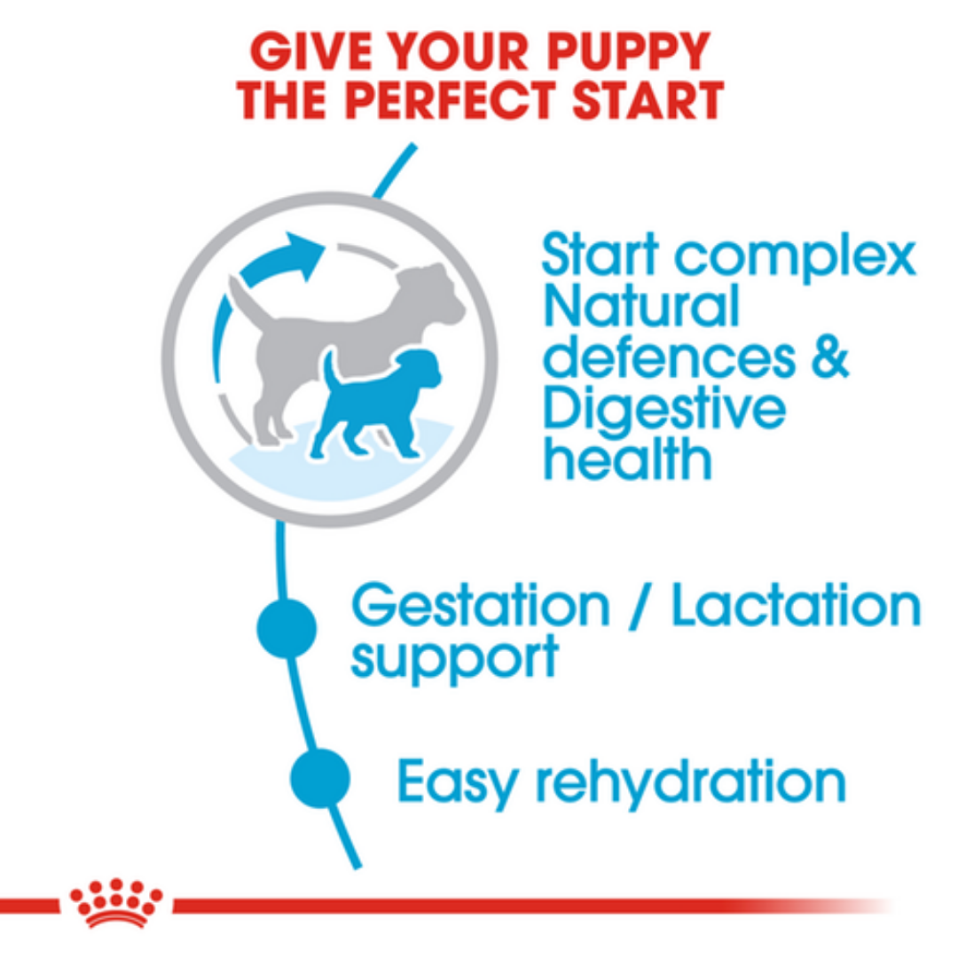 Royal Canin Starter Medium Breed Mother & Babydog Dry Dog Food