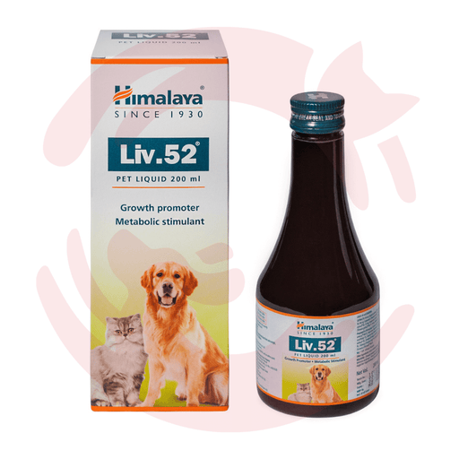 Buy Himalaya Supplement for Dogs & Cats - Liv 52 Liver Support (200ml) at  Lowest Prices In India