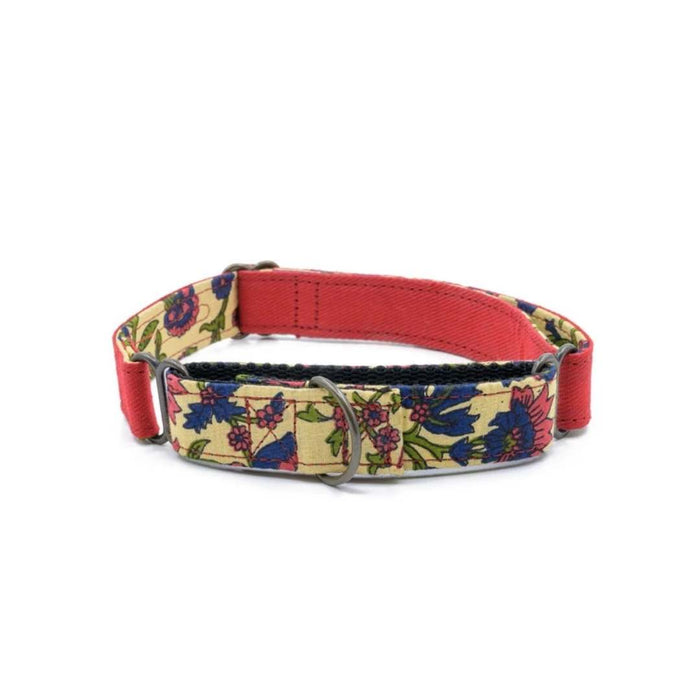 PetWale Martingale Collar - Red