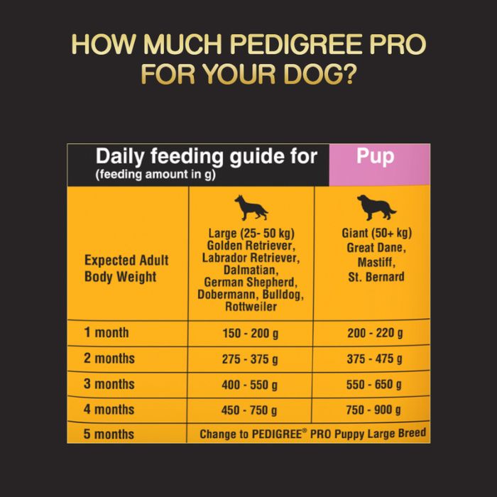 Pedigree PRO Dry Dog Food - Lactating/Pregnant Mother & Pup (3-12 Weeks) Large Breed