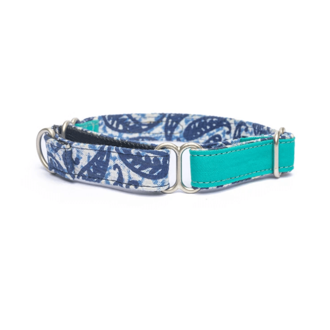 PetWale Martingale Collar - Turquoise