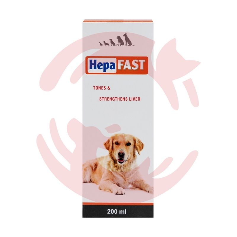 Atlantiz HepaFast Liver Care Supplement for Dogs and Cats (200ml)
