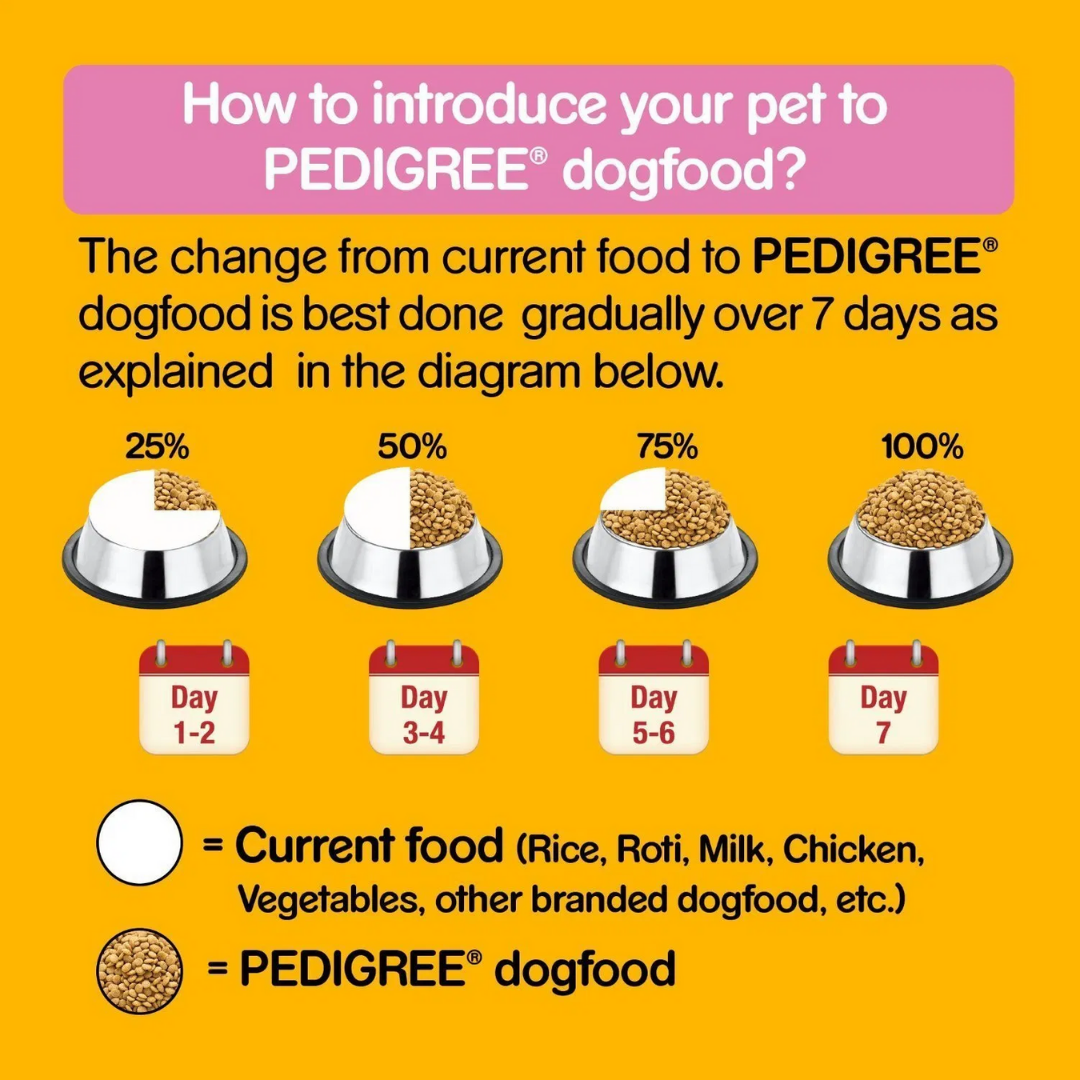 Pedigree Puppy Dry Dog Food - Chicken and Milk