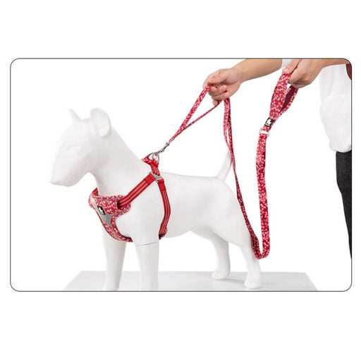 Barkbutler x True Love Floral Leashes for Dogs - Poppy Red